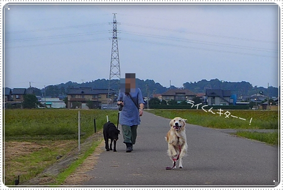 2013,9,25お散歩3