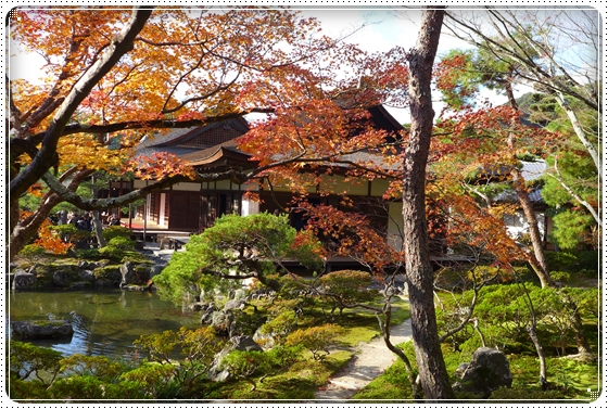 2013,12,1京都6