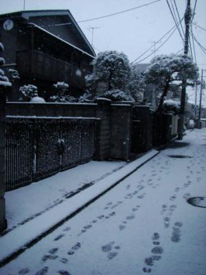 雪♪