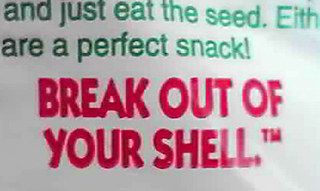 BREAK OUT OF YOUR SHELL