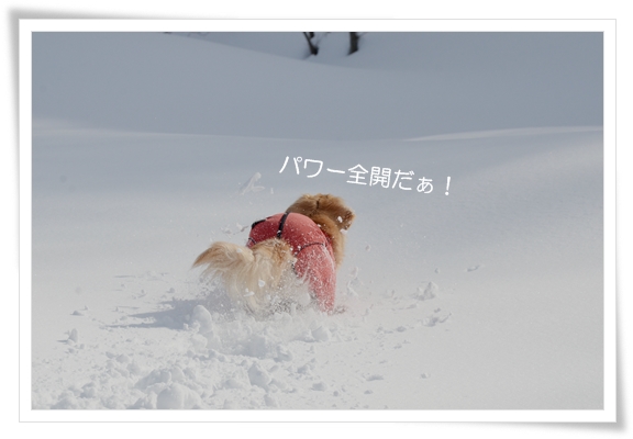 雪のなか走る201302