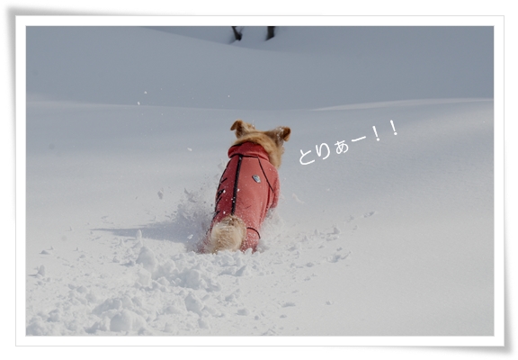 雪のなか走る２201302