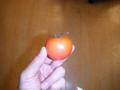 フルーツトマト１
