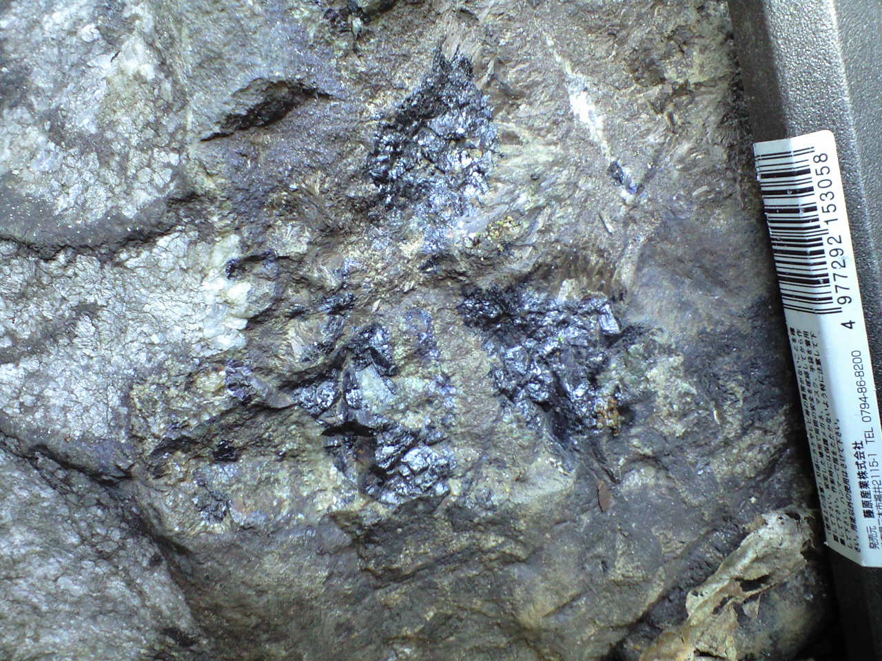 出合の珪灰鉄鉱