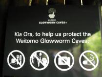 Dec 28th Waitomo caves (6)