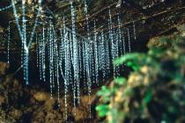 waitomo-glowworm-caves.jpg