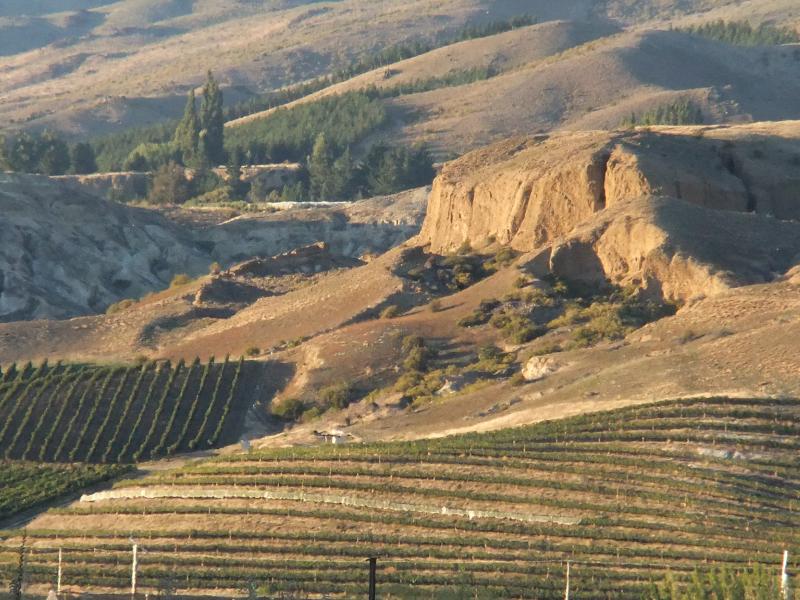 Mt.Difficulty Wines Mansons Farm Vineyard