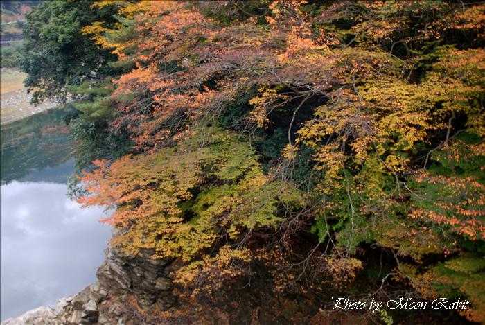 金砂湖畔公園付近の秋景色と紅葉(もみじ) 四国中央市金砂町 2008年11月 <b>...</b>