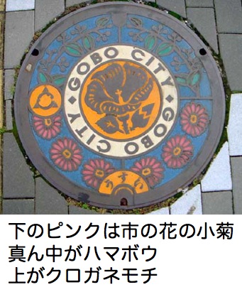 Gobo Manhole