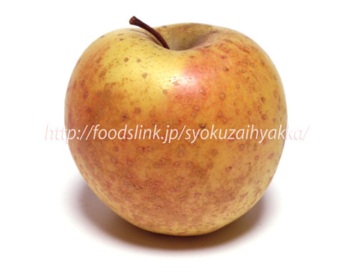 「旬の食材百科」話のネタ 更新：リンゴ：無袋栽培のサン金星 外見は悪くとも味は絶品
