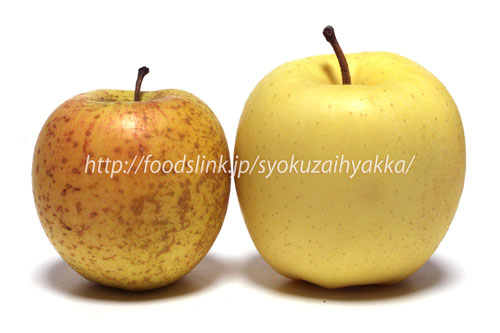 「旬の食材百科」話のネタ 更新：リンゴ：無袋栽培のサン金星 外見は悪くとも味は絶品