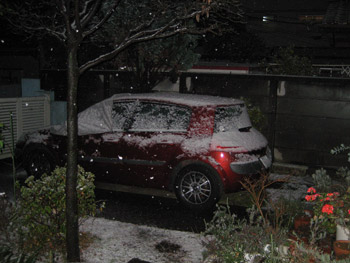 雪で白くなった愛車