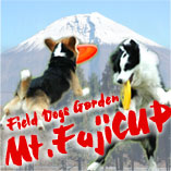 Mt.FujiCUP