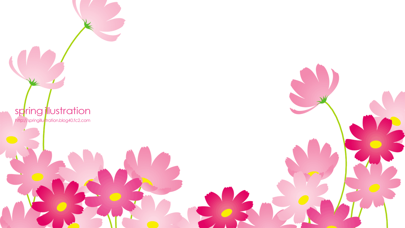 【コスモス】秋の花のイラスト壁紙(1366×768)