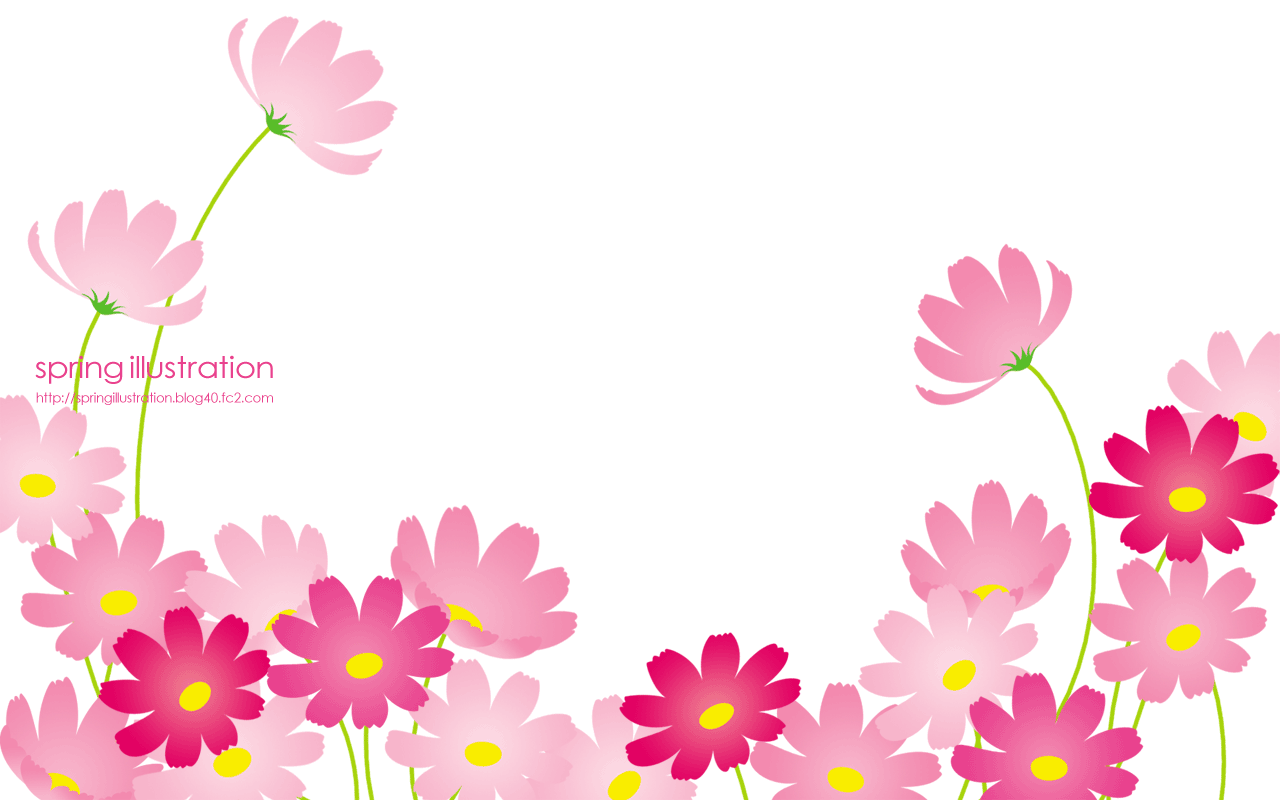 【コスモス】秋の花のイラストPC壁紙・背景
