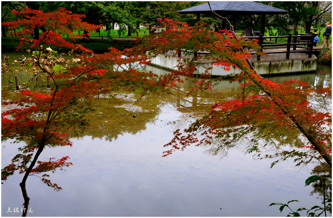 京都府立植物園５