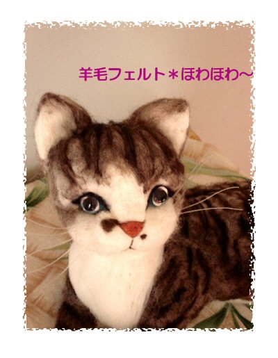 cat5.jpg